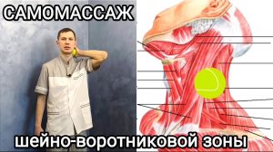 Самомассаж шейно-воротниковой зоны теннисным мячиком