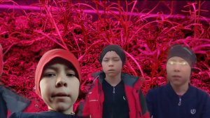 Серёжа и Алёша - 146 серия [Бомж Василий vs Существо В04RX]