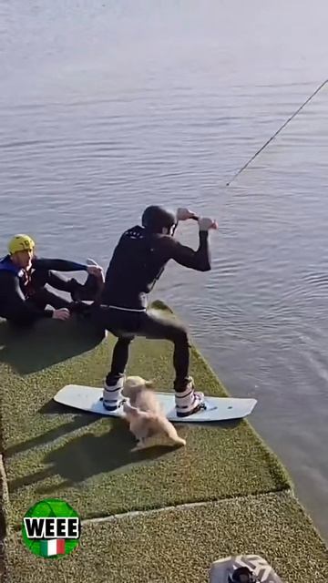 Weeememeitalia - 7024673978010651909