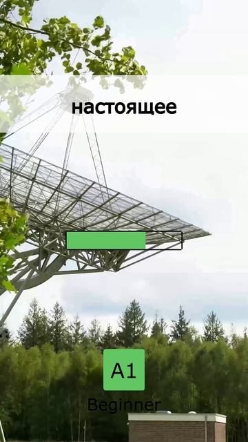 📅 Твоя ежедневная норма: 5 слов A1 (14 May 2026)