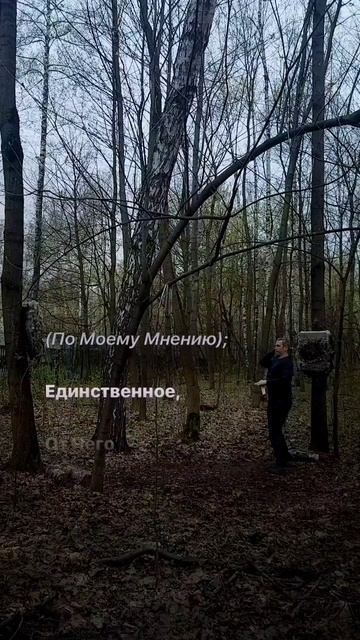 1047 475
The Shaping Of Taste Is Essentially The Science Of Merchandising, Whether Of Detergents Or