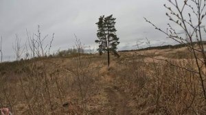 Ваулинский лось 2026. Класс лайт. Kews YBS 300.