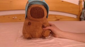 Приветствую подписчиков.mp4