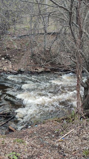 Маленький водопад Зацепинского пруда