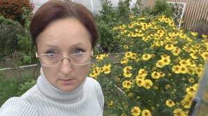 6 соток в начале сентября 2021 года. Собираю урожай без фанатизма с рассуждением