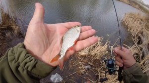 Весенние бродилки с мормышингом