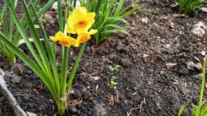 И здравствуйте!