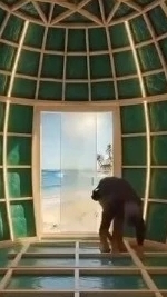 Аренда жилья в Геленджике #1