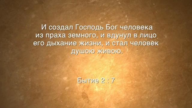 3. Лобанов Иван - Состояние мертвых.