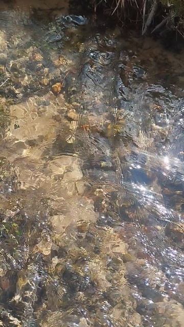 Целебная вода! Красота забайкальской природы!