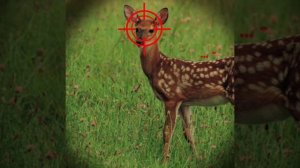 🍋 Бриги небудет😃🍋