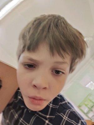 ТРАНСЛЯЦИЯ В ТРАНСЛЯЦИИ