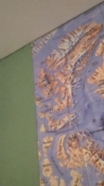 Что-то на паутине