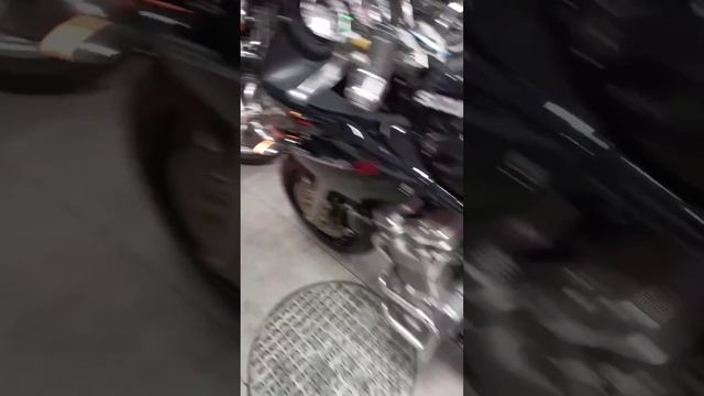 SUZUKI GSF600S (2004) черный