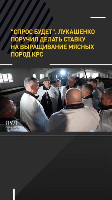 Лукашенко поручил делать ставку на на выращивание мясных пород КРС