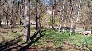 «О, как прекрасен этот город»