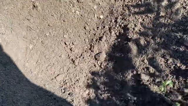 Сосед поделился этим и я сравниваю со своими