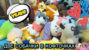 В НЕКОТОРЫХ АППАРАТАХ ЗАГРУЗКА, ПРОГУЛЯЮСЬ😍МОПСЫ, СОБАЧКИ, ЛАБУБУ и др.