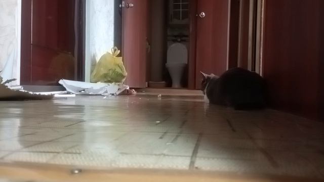 я не сделаю уроки #3