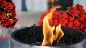 🔥 Футаж ВЕЧНЫЙ ОГОНЬ // крупный план