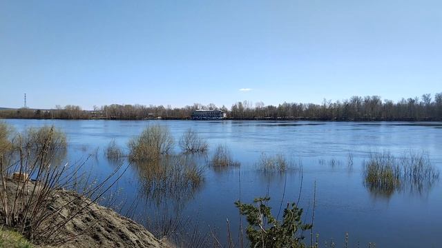 Ока-река. 25-26 апреля 2026г вода уже спадает.