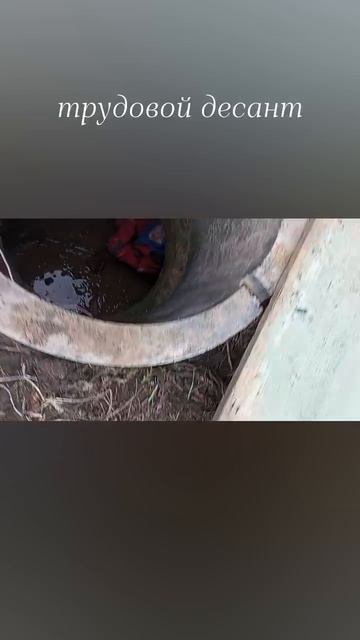 Саргон трудовой десант