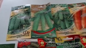 Поездка на дачу отменилась.Рассада.
Новые и старые семена.
26.04.26.