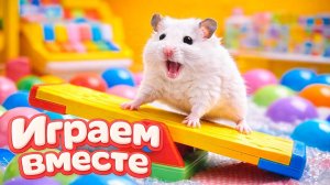 ХОМЯК ВЫБИРАЕТСЯ ИЗ СЕКРЕТНОЙ ХОМЯЧЕЙ ТЮРЬМЫ часть 6 ! Помогаем выбраться из лабиринта !