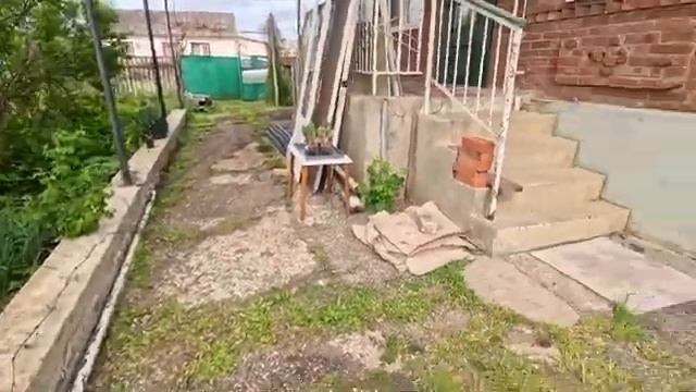 Жизнь вне орхидей -  до порядка на участке ЕЩЕ ДАЛЕКО  ищу место для РОЗ  МОРОЗНИК вы