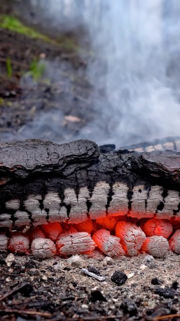 Тепло, которое не просит слов