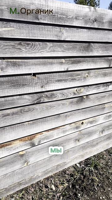 Бюджетное восстановление беседки с M.Organic