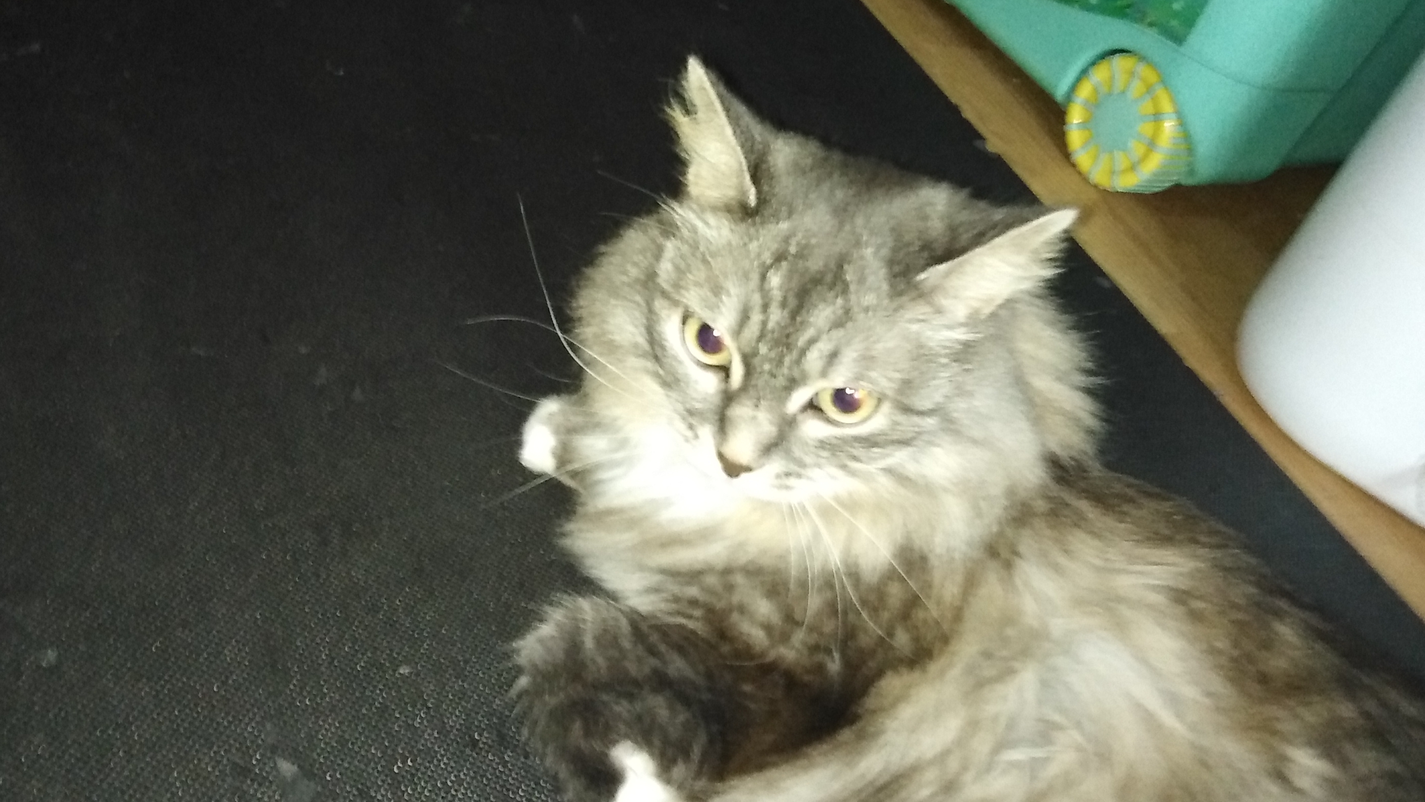 Скрытая опасность