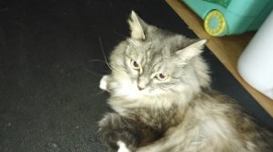 Скрытая опасность