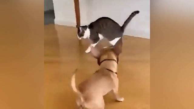 ЮРБУТИК. У страха глаза велики