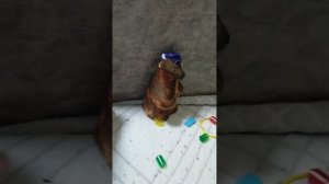 мой мультик 1 сезон 4 серия