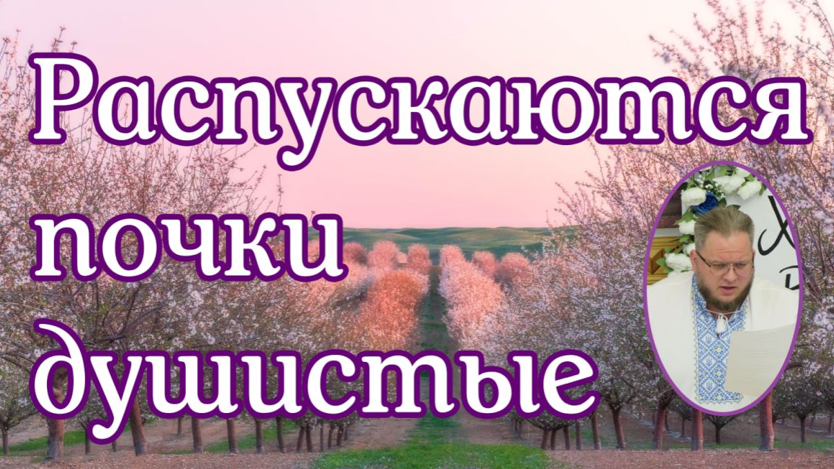 Распускаются почки душистые. соло Илья Матвейчук