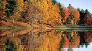 Тополь Лишь Хранит Любовь Мою🎶💥