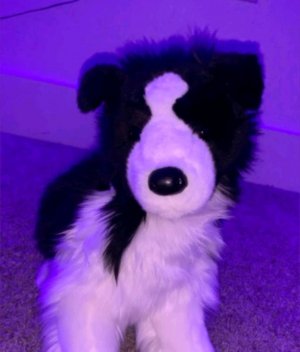 трансляция