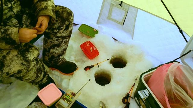 Первая_рыбалка_2026