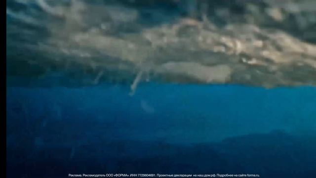 история медведя 1 часть  бэкрумс