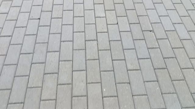 СЕГОДНЯ СЛУШАЯ МУЗЫКУ., ЛЕГКО ПРОШЛА 8КМ., ДВИЖЕНИЕ.... ЖИЗНЬ🤔. ПРОСТО 💞МУЗЫКА. ДАЁТ СИЛУ ,. ВЕРУ.