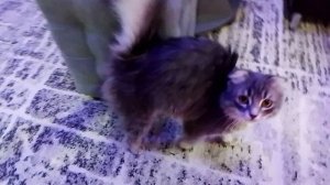 наш маленький корпоратив