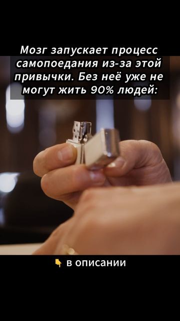 Мозг запускает процесс самопоедания