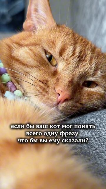 что скажешь?