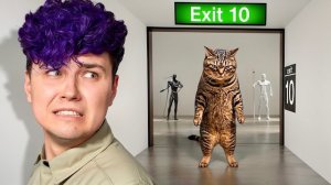 Уходи ЖИРНЫЙ КОТ! 💀 Найди выход в Галерее