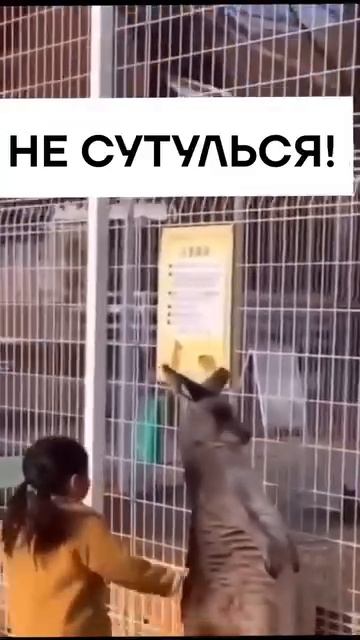 Video_2026-03-09_13-29-34