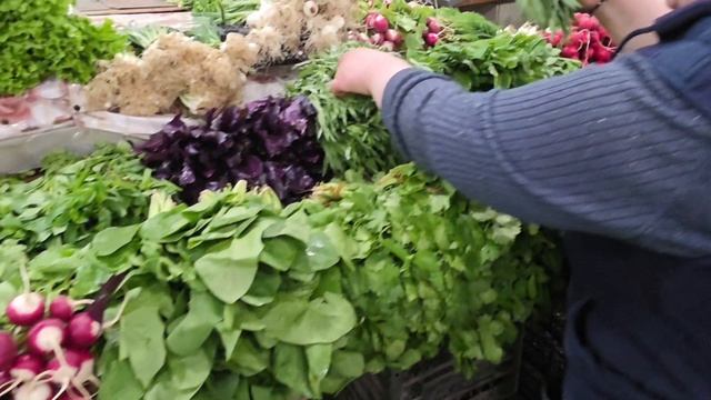 Едем на зеленый рынок Баку новые знания о луке какой богатый выбор зелени в Азербайджане