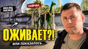 МЫ ВЕРНУЛИСЬ В ВИТЯЗЕВО… И ВСЁ ИЗМЕНИЛОСЬ? Апрель 26