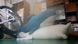 я вернулась в свой фандом