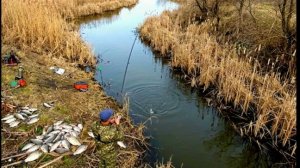 ЗАБЫТЫЙ РУЧЕЙ ПОЛНЫЙ КРУПНОЙ РЫБЫ рыбалка весной на поплавок